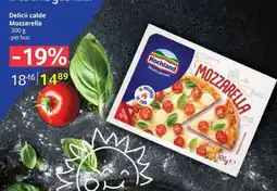 Selgros Delicii calde Mozzarella Ofertă