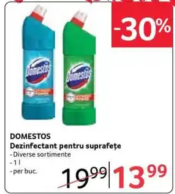 Selgros DOMESTOS Ofertă