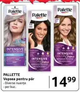 Selgros PALLETTE Ofertă