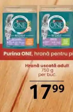 Selgros Purina ONE, hrană pentru pisici Ofertă