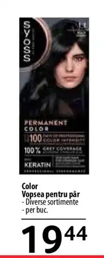Selgros Color Vopsea pentru păr Ofertă
