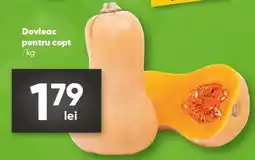 PROFI Dovleac pentru copt Ofertă