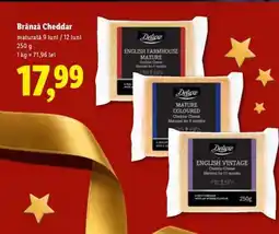 Lidl Brânză Cheddar Ofertă
