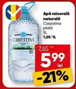PROFI Apă minerală naturală Carpatina plată 5L Ofertă