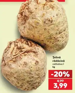 Kaufland Țelină rădăcină Ofertă
