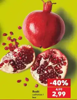 Kaufland Rodii Ofertă