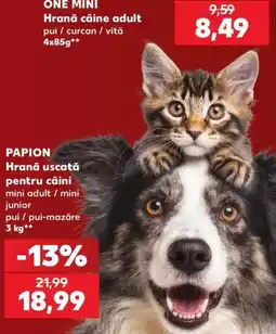 Kaufland Papion hrană uscată pentru câini mini adult / mini junior Ofertă