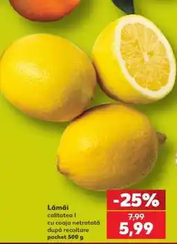 Kaufland Lămâi Ofertă
