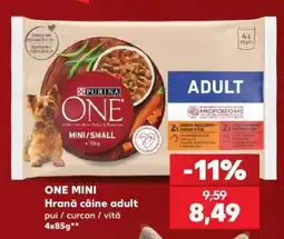 Kaufland ONE MINI Ofertă