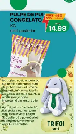 Diana Supermarket Congelato pulpe de pui congelato Ofertă