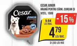 Mega Image Cesar junior Ofertă