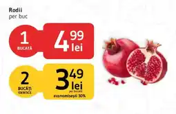 Supeco Rodii Ofertă