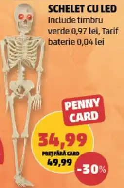 Penny Penny Card schelet cu led Ofertă