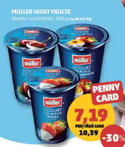 Penny muller iaurt fructe Ofertă