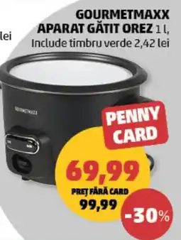 Penny Gourmetmaxx aparat gătit orez Ofertă