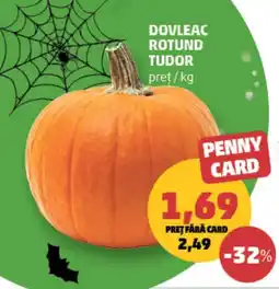 Penny Dovleac rotund tudor Ofertă