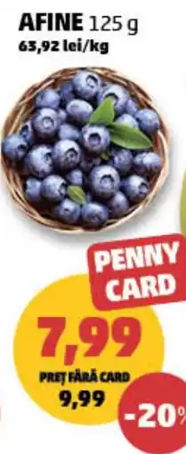 Penny Afine Ofertă