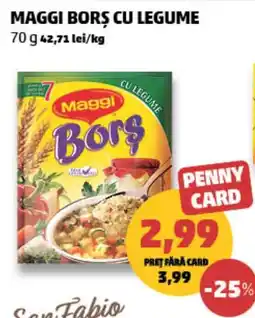 Penny Maggi borș cu legume Ofertă