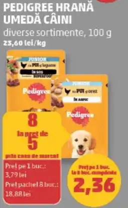 Penny Pedigree hrană umedă câini Ofertă