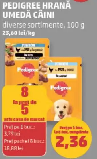 Pedigree hrană umedă câini