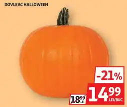 Auchan Dovleac halloween Ofertă