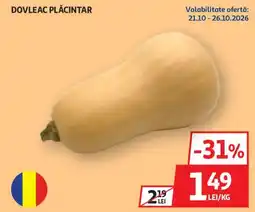 Auchan Dovleac Plăcintar Ofertă