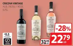 Auchan Cricova vintage alb roșu roze Ofertă