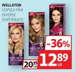 Auchan Wellaton vopsea păr diverse sortimente Ofertă