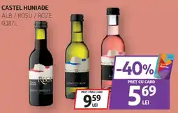 Auchan Castel Huniade Ofertă