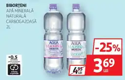 Auchan Aqua Magnesia Biborteni Ofertă