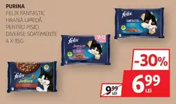 Auchan Purina felix fantastic Ofertă