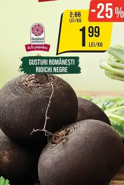 Mega Image Gusturi româneşti ridichi negre Ofertă