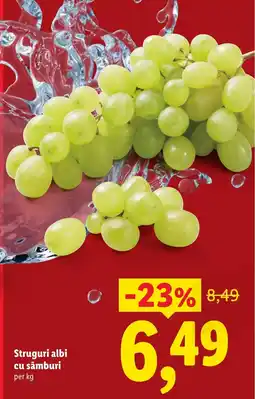 Lidl Struguri albi cu sâmburi Ofertă