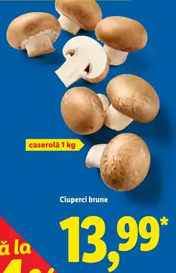 Lidl Ciuperci brune Ofertă