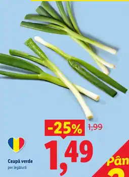 Lidl Ceapă verde Ofertă