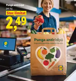 Lidl Punga antirisipă Ofertă