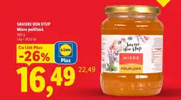 Lidl Savori din stup miere polifloră Ofertă