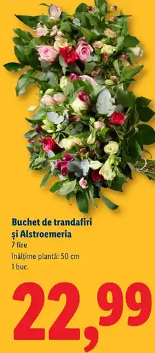 Lidl Buchet de trandafiri și Alstroemeria Ofertă