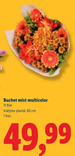 Lidl Buchet mixt multicolor Ofertă