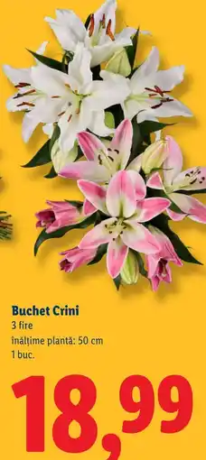 Lidl Buchet Crini Ofertă