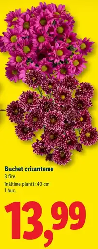 Lidl Buchet crizanteme Ofertă
