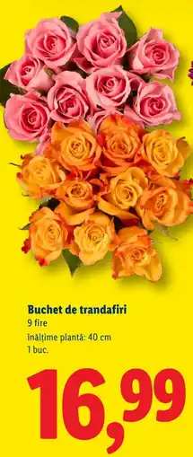 Lidl Buchet de trandafiri Ofertă