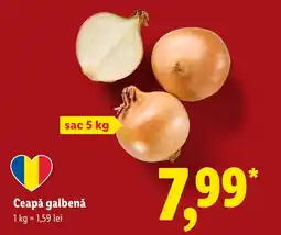 Lidl Ceapă galbenă Ofertă
