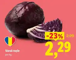 Lidl Varză roșie Ofertă