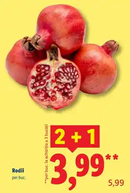Lidl Rodii Ofertă