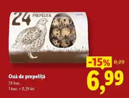 Lidl Ouă de prepeliță Ofertă
