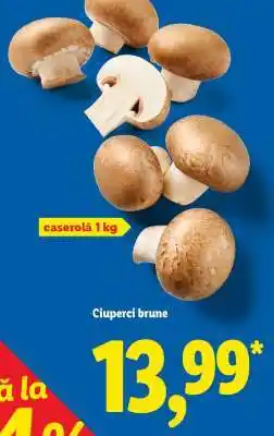 Lidl Ciuperci brune Ofertă