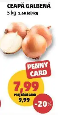 Penny Ceapă galbenă Ofertă