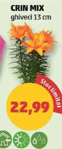 Penny CRIN MIX Ofertă