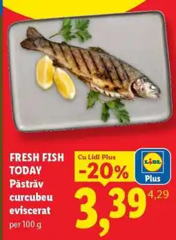 Lidl Păstrăv curcubeu, eviscerat Ofertă